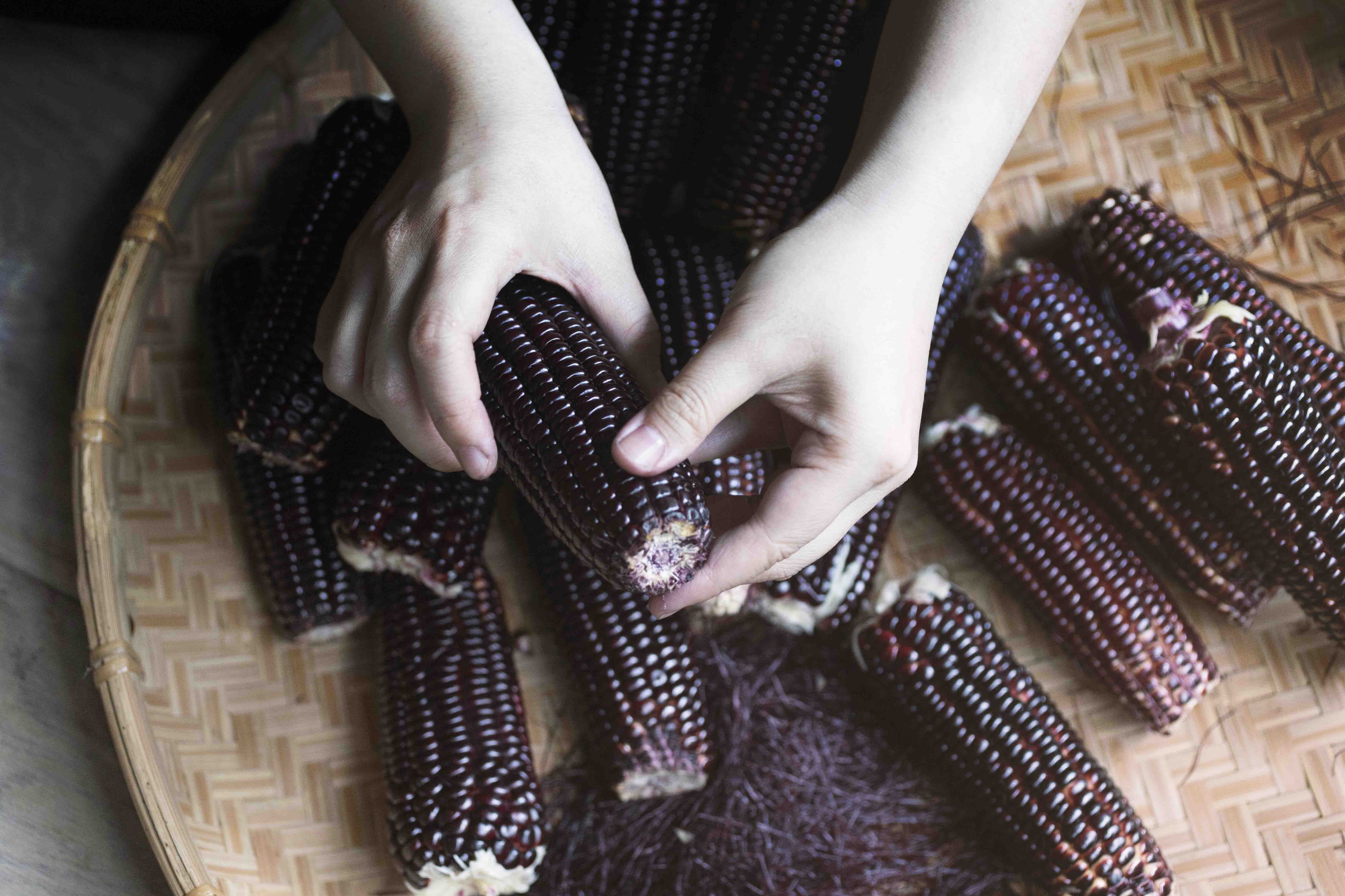 NinenineClass 0813 0815Corn FF Workhop 01