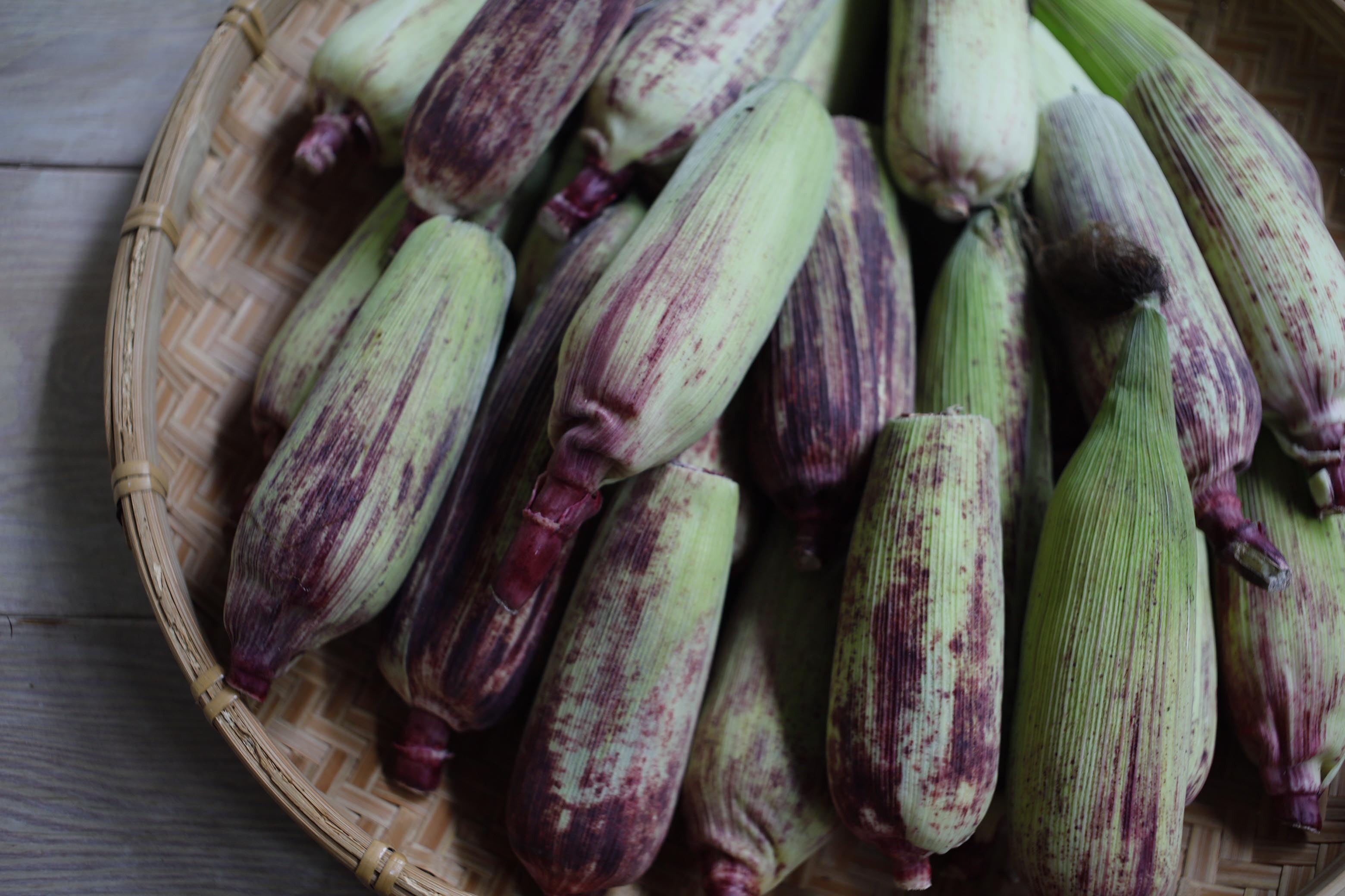 NinenineClass 0813 0815Corn FF Workhop 02