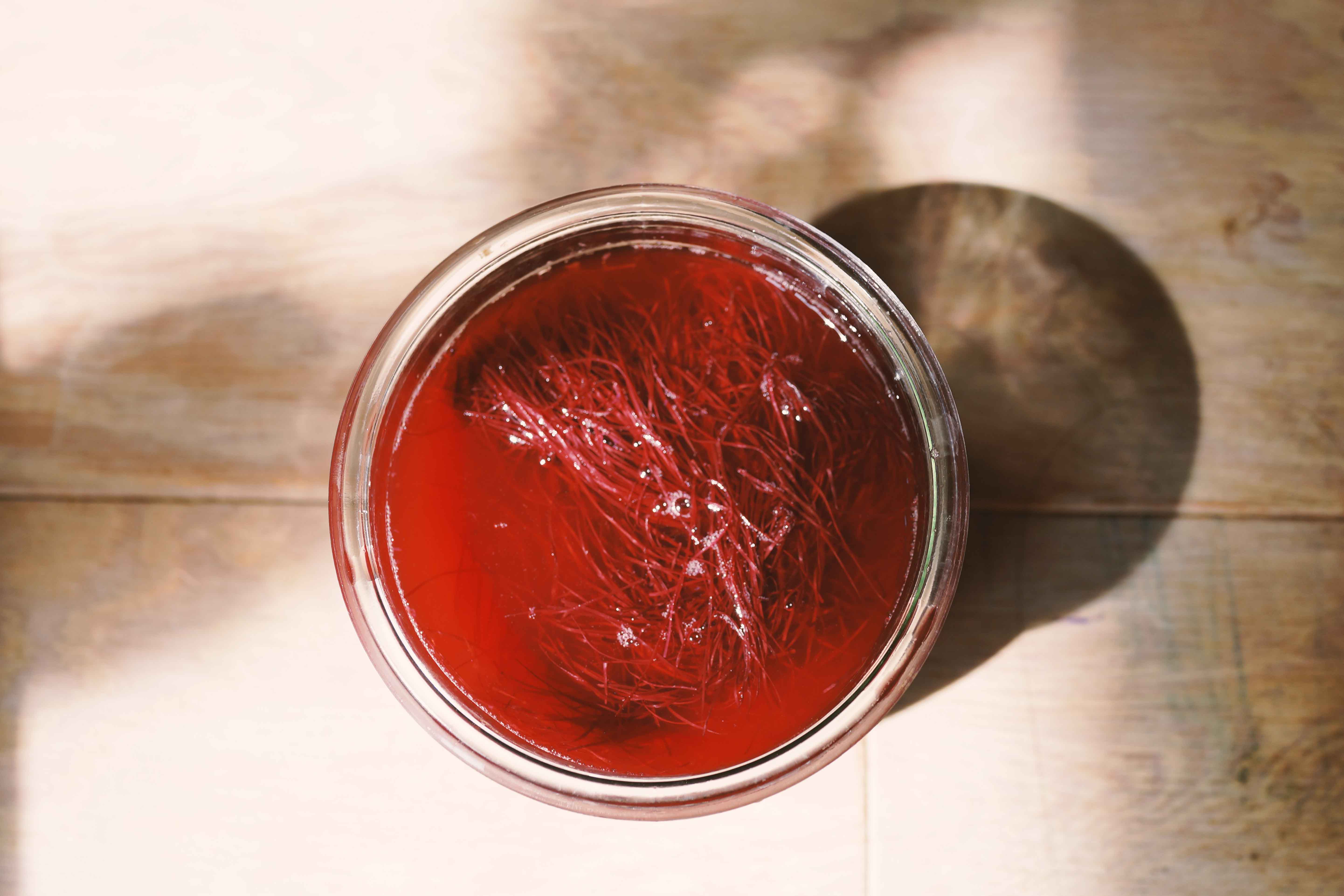 NinenineClass 0813 0815Corn FF Workhop 04