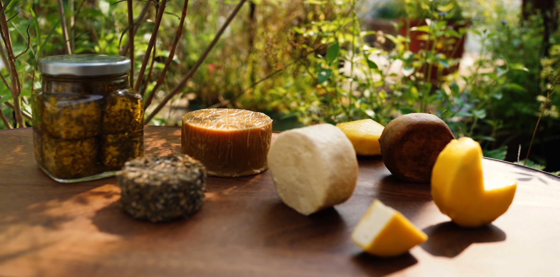 NinenineClass 1015 1017 Vegan Cheese workshop 04