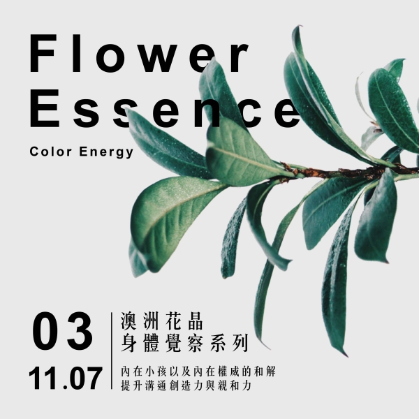 【久號線上療癒節】澳洲花晶身體覺察系列： 內在小孩以及內在權威的和解 提升溝通創造力與親和力