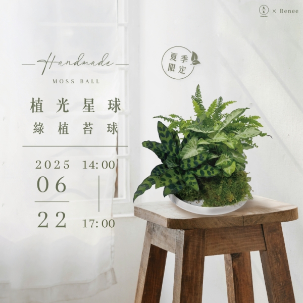 【夏季限定】植光星球-綠植苔球 Handmade moss ball